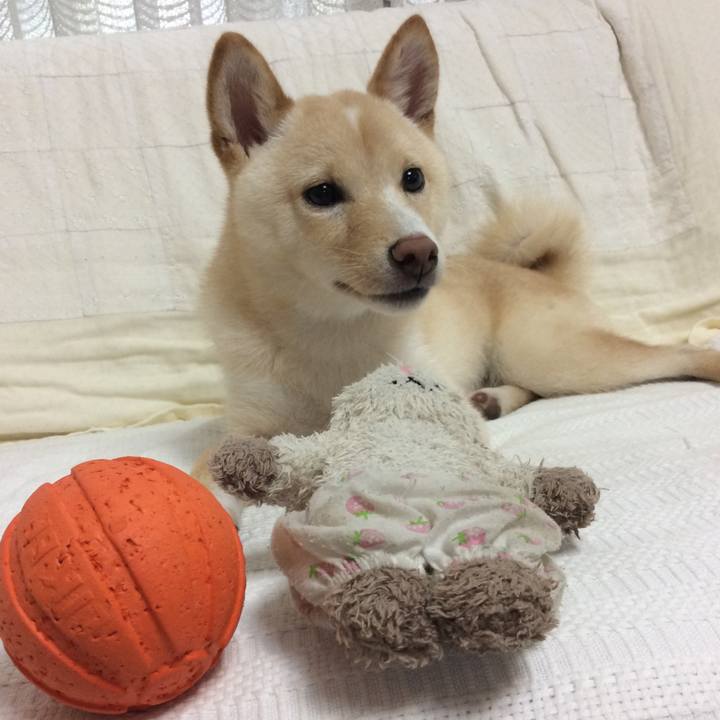 F86b91ae 7a0a 48b2 9b8a 99c5605b95e4