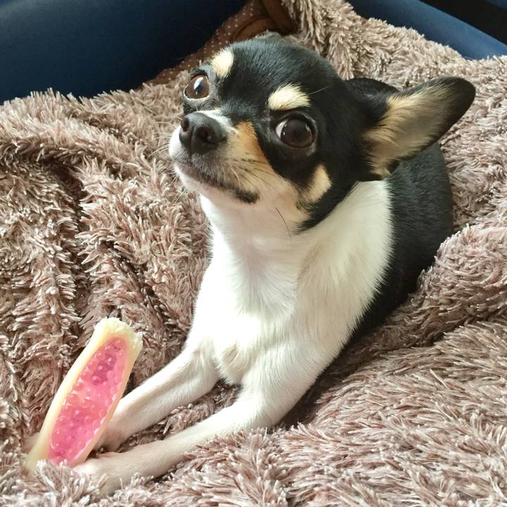 F86c7d49 d634 48ef 8902 202401289e46