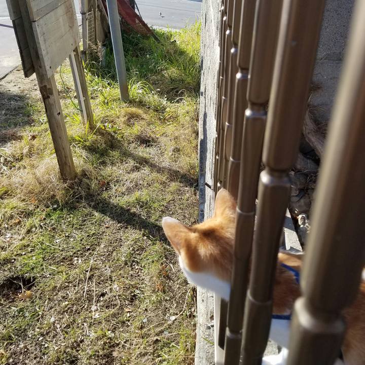 F86c9602 a1e9 46e4 b037 b06740243a93