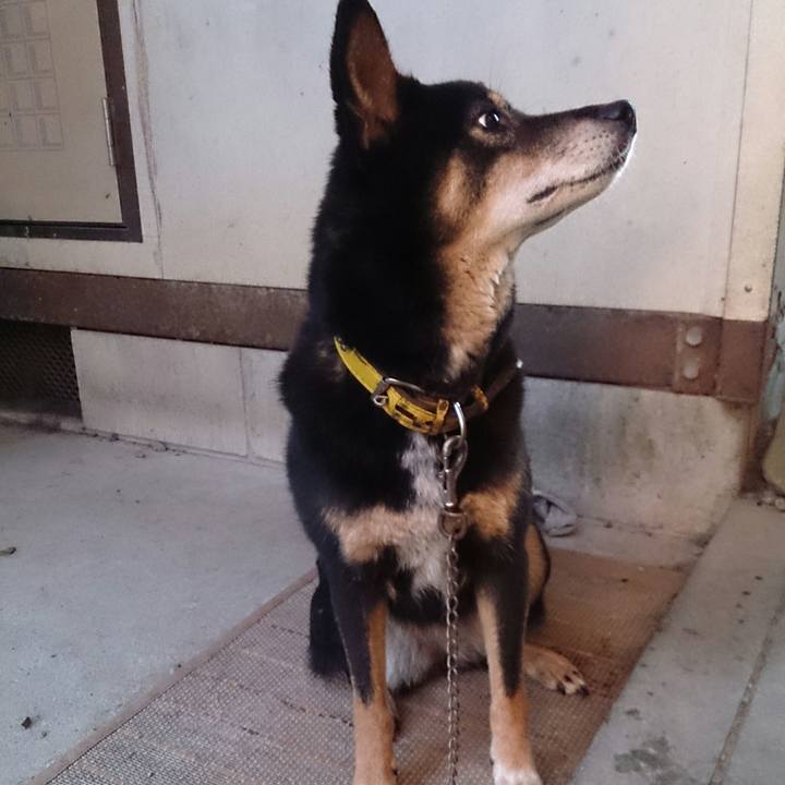 F86cd786 4804 4617 91a7 2d9fc1dfbb14