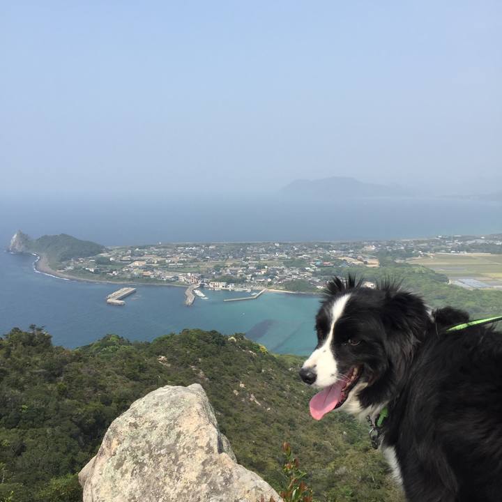 F86d0293 818d 4ad4 9138 07e37772daa8