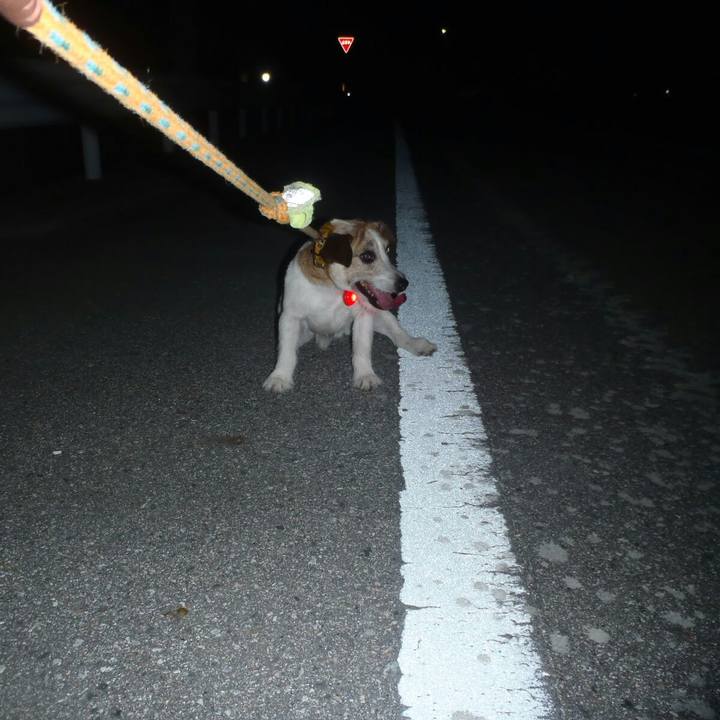 F86d85f5 e0ef 443a bd00 a2694a7bdb32