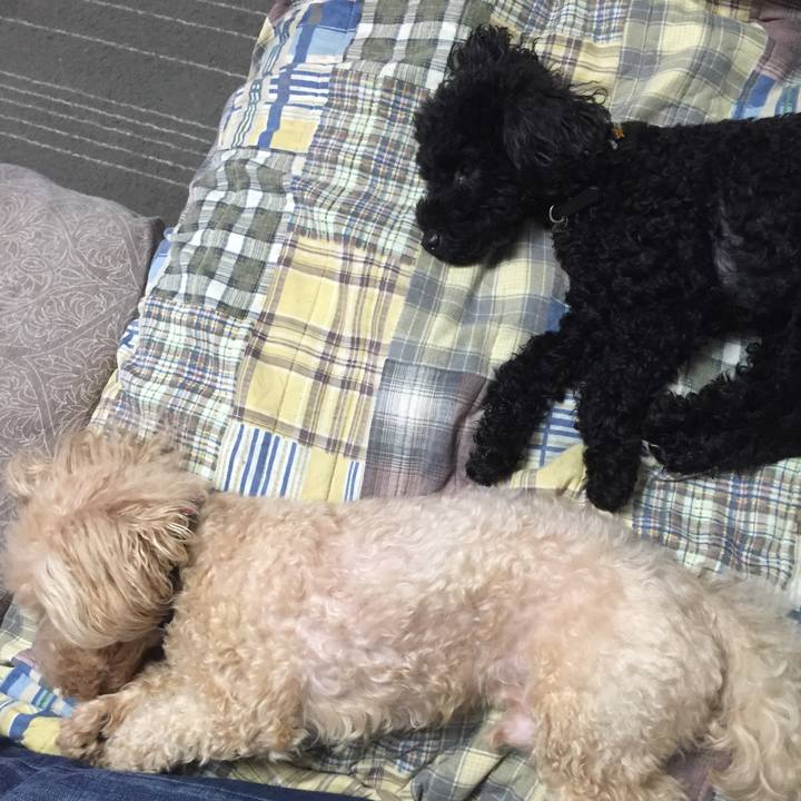 F86d8afe f2b0 425c a72e ca1936adb965