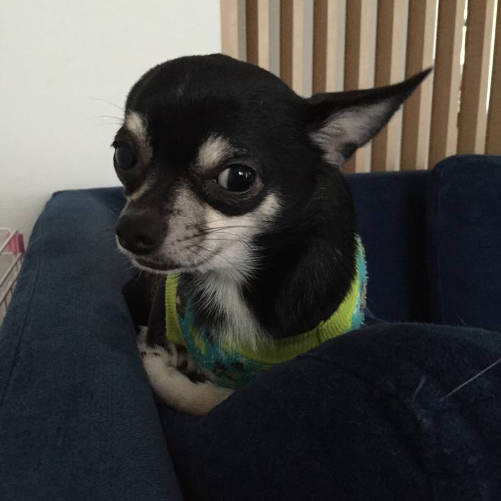 F86d93d2 179a 4e5f ab2a b2130036a555