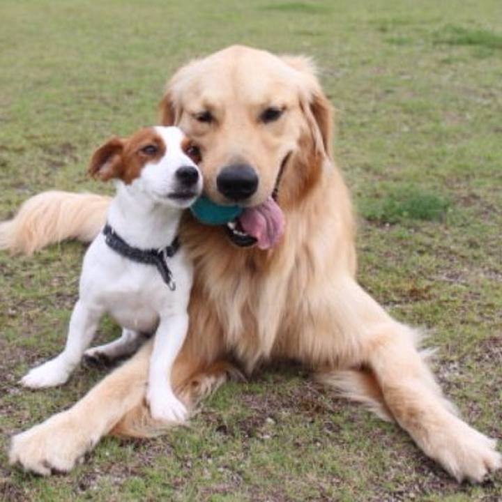 F86da4a0 3e95 4815 9f8e 60a09dc53512