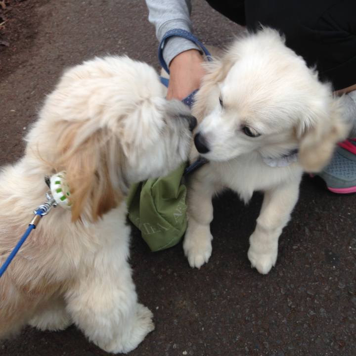 F86fbf49 a69d 44bb 9bdf 97d7d772aa66