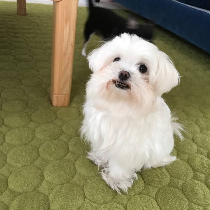 F86ffd01 b5c8 42a2 831b c7c2e7daf5b5