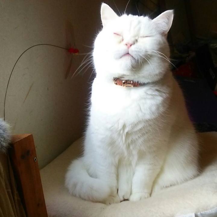 F870022e d680 4ba4 9c7e 1adbe697b197