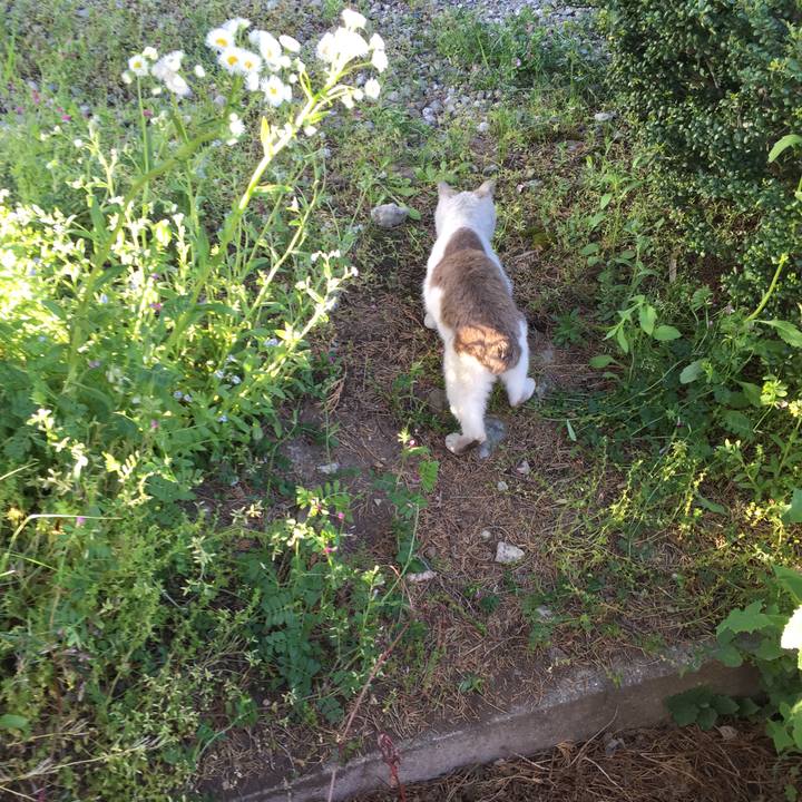 F87016e5 5aa6 46b9 a930 1d98a3ece96b