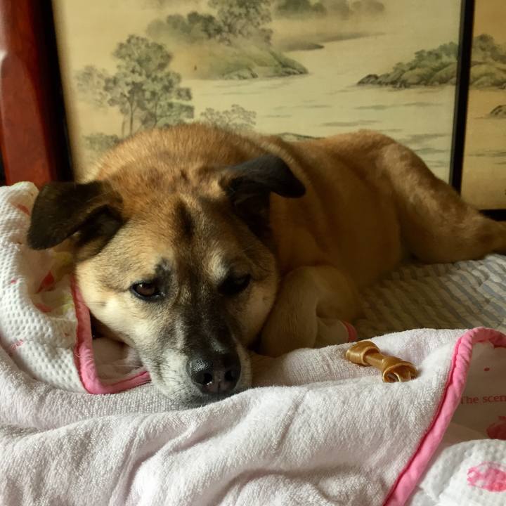 F8704b00 5812 4241 bc0f 5167f33d87fb