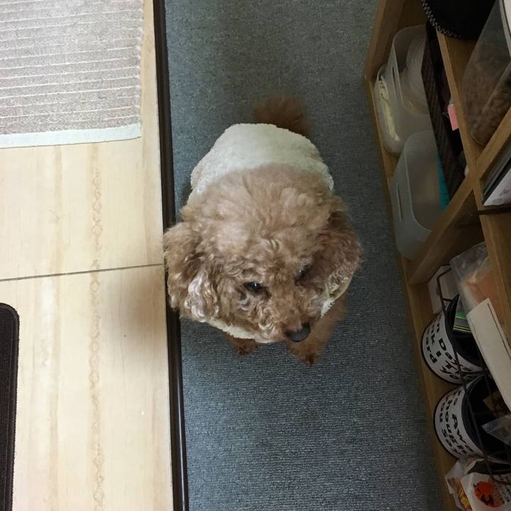 F87074a8 40a7 4618 af7b c0bcf3fbf249