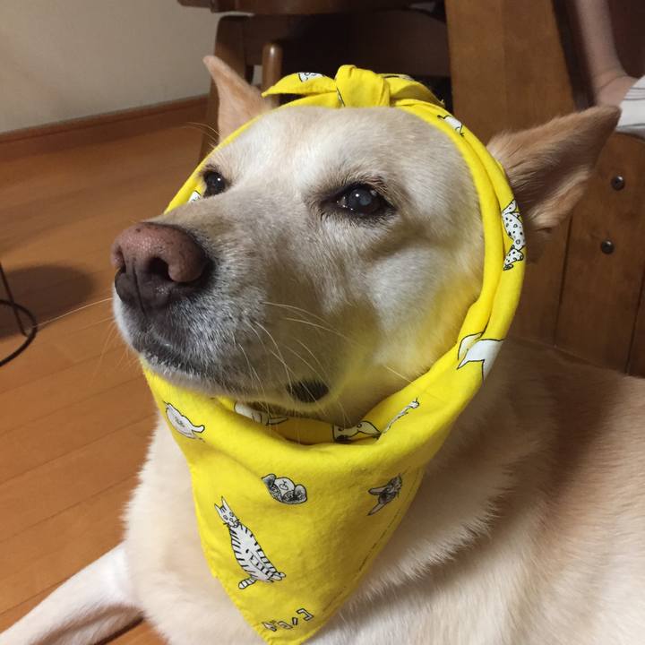 F8708bfb 221a 46ad 9c18 48a0bad7366c