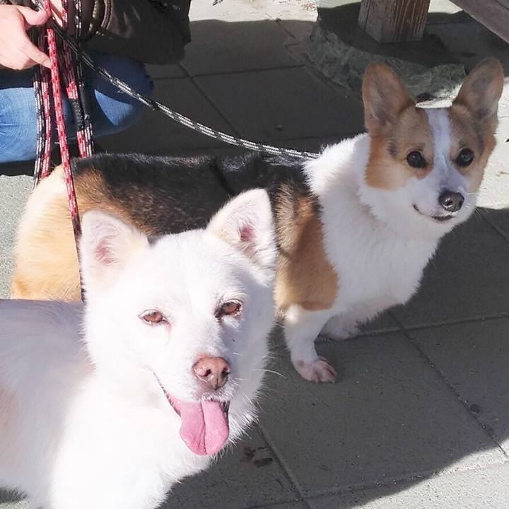 F8709da4 fbb5 480e a7d9 fc3bc4936503