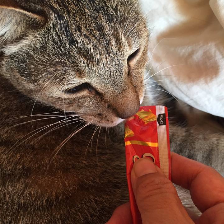 F870c19f 5dce 49f8 a83c 34531a40a242