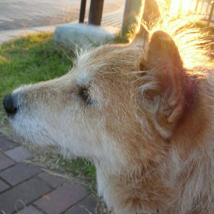 F871380d c03b 4b4c b822 4794b845b53e