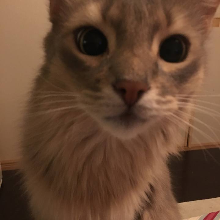 F871a357 ef1d 4a43 9c2c 7b1da2e9726f