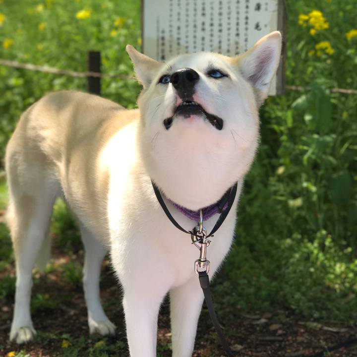 F871d023 28f5 4b72 92e4 880ee1d8c2fd