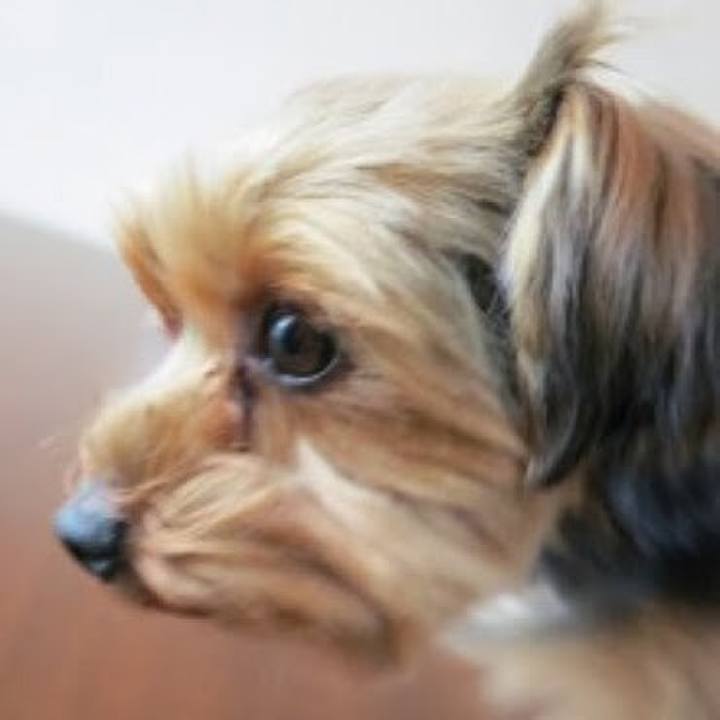 F8724c8b d89c 4be5 8d04 126f58569c37