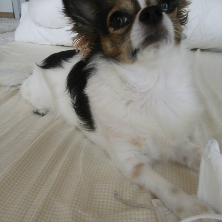 F872744d 34d0 4ae5 aa90 ea38683d3c36