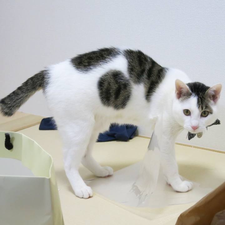 F8728372 0daf 4fdc 9cd4 d2a630794851