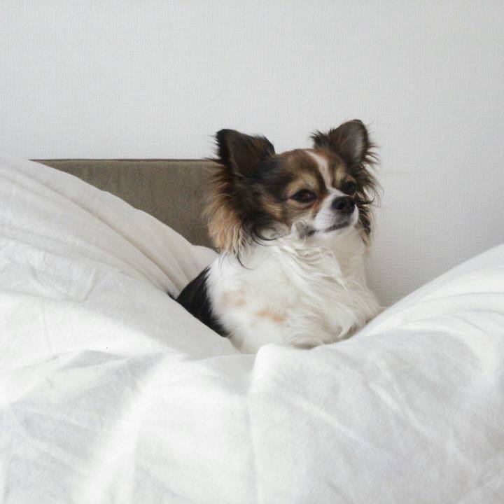 F8731f28 1d7a 4a74 b676 07b56685062b