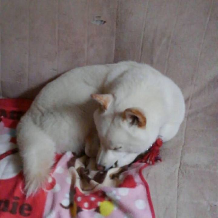 F8738354 2530 470c 842a 848fa3801540