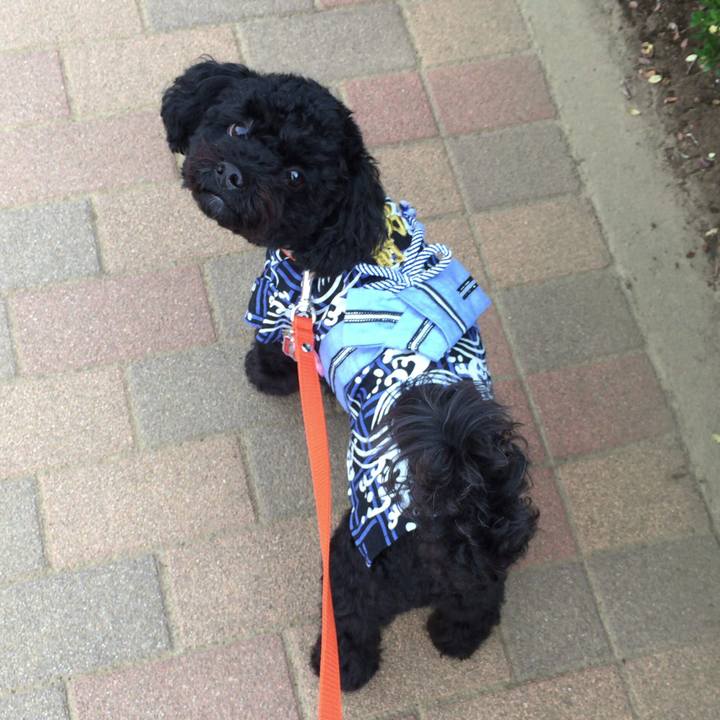 F8738383 528e 4f61 a959 7fcdf41ba89a