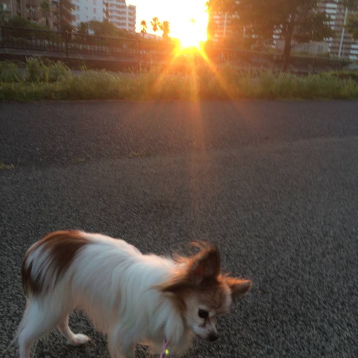 F8738a5f 42c9 4fa5 ace8 28aaebabfa23