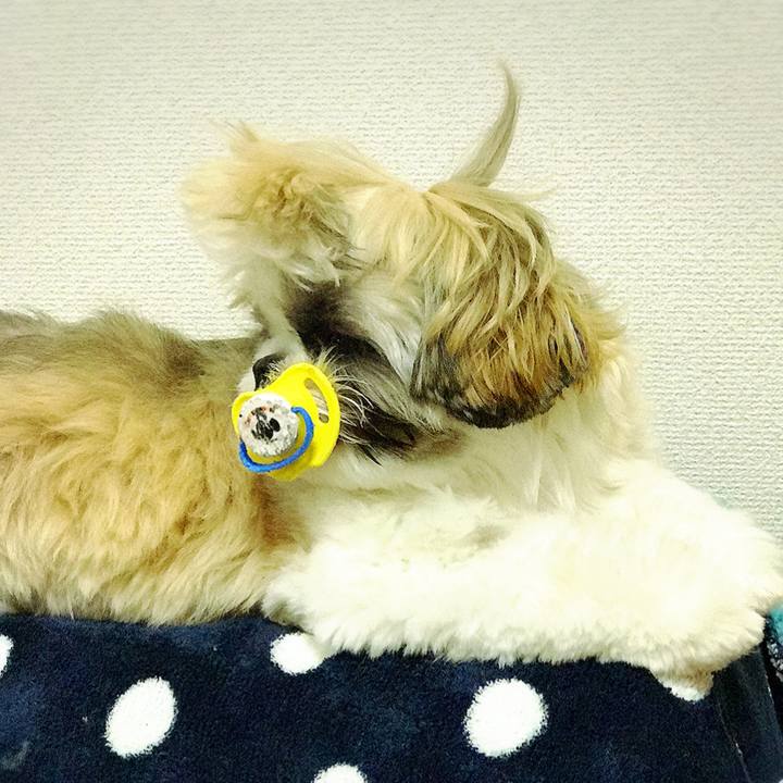 F87395f3 f27c 4857 8772 d43b8835e777