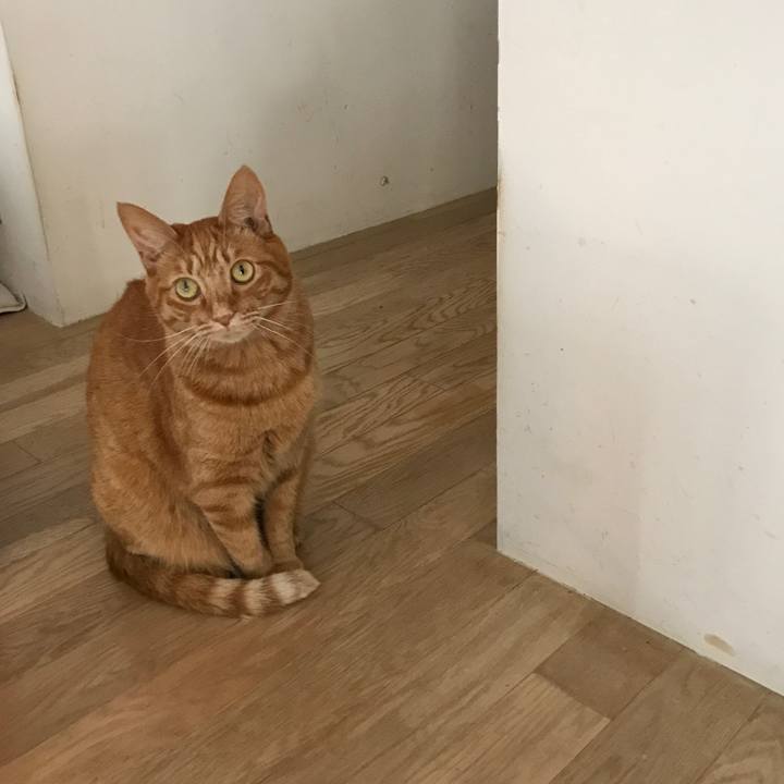 F873a1fa df38 4de6 876c 25e83662d1c4