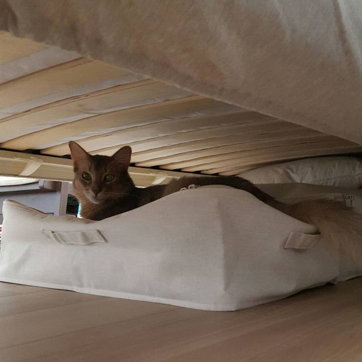 F874a854 0632 408c 8952 f2e41ed867f8