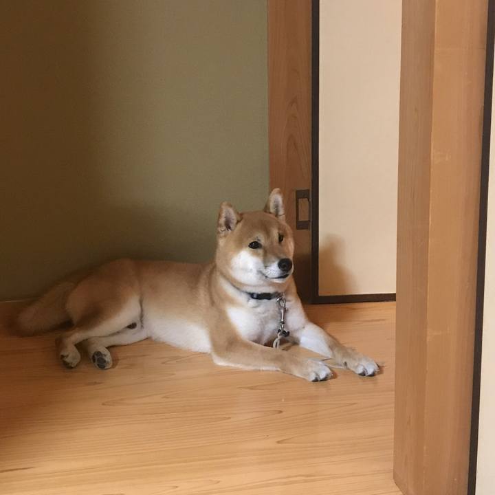 F874f8df 5615 4104 aabd a30d8510a98f