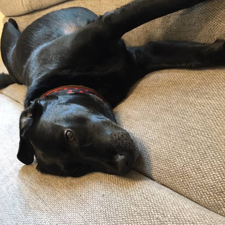 F8753266 acc1 4e14 ad33 15b3f04eb8ec