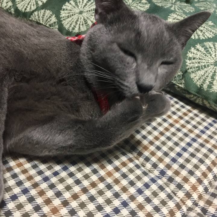 F87532bf ca29 4ccf a3f5 59065fa15cd2