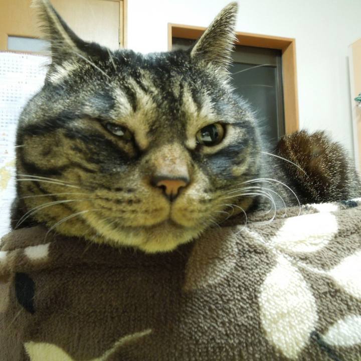 F87574f8 6861 4c52 b52b 4c988e808bf3