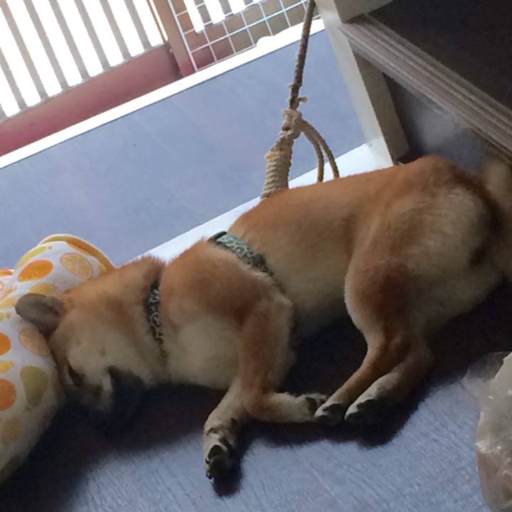 F8761d3f 83b9 4881 ba2b e7c9415d5082