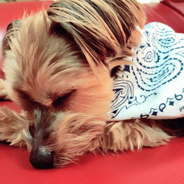 F8770f8f 6f46 4fbe 83b5 72e51a513f37