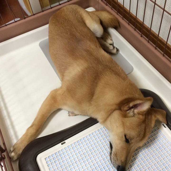 F8779ed6 d74c 43f7 9e29 ca122a70bdb1