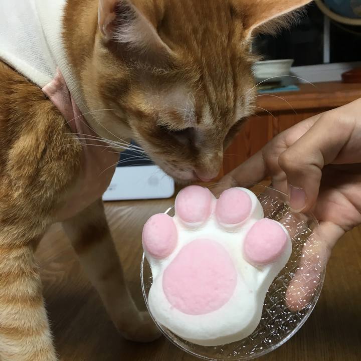 F87816e0 5372 451f 97c2 1725bf3d5fbd