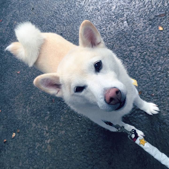 F878dca5 ca3e 4639 8157 bec48dd21ca8