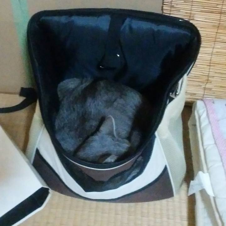 F8798ac5 b69c 4ded a725 aa88386d2de2