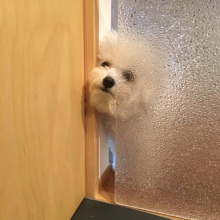 F87af4f3 e550 4ec2 b7ed 1896ce5c7d3a