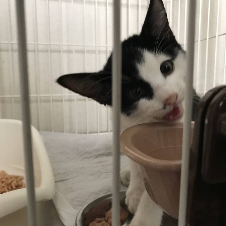 F87b3f79 81f5 46c8 9147 9c6a5114a4f6