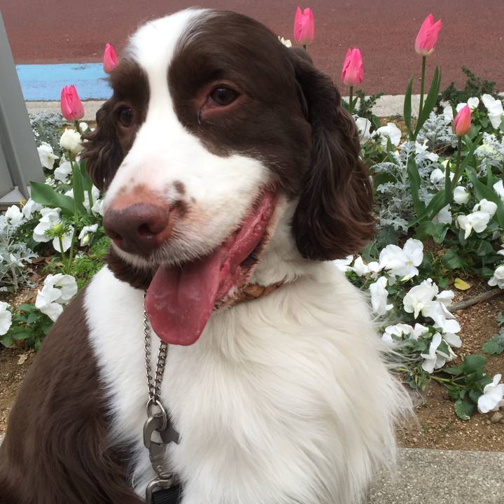 F87b9e78 f6df 4c75 ac22 a7f038342f30