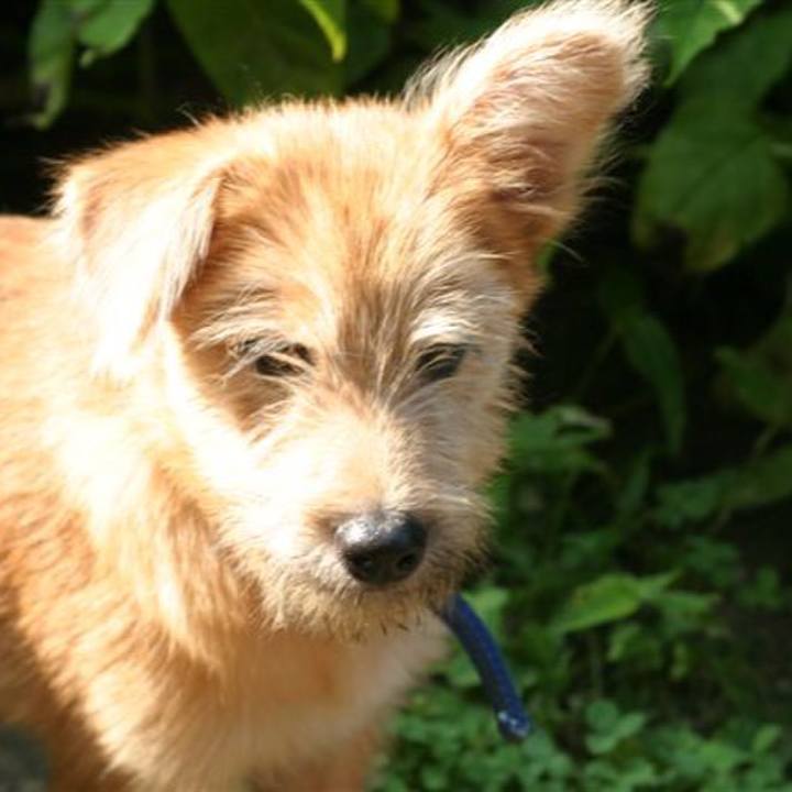 F87c7858 c314 466d 8813 08099f678254