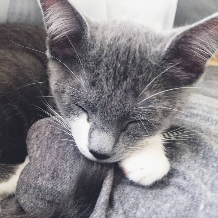 F87c7b57 b304 4792 8e63 432eac7abf35