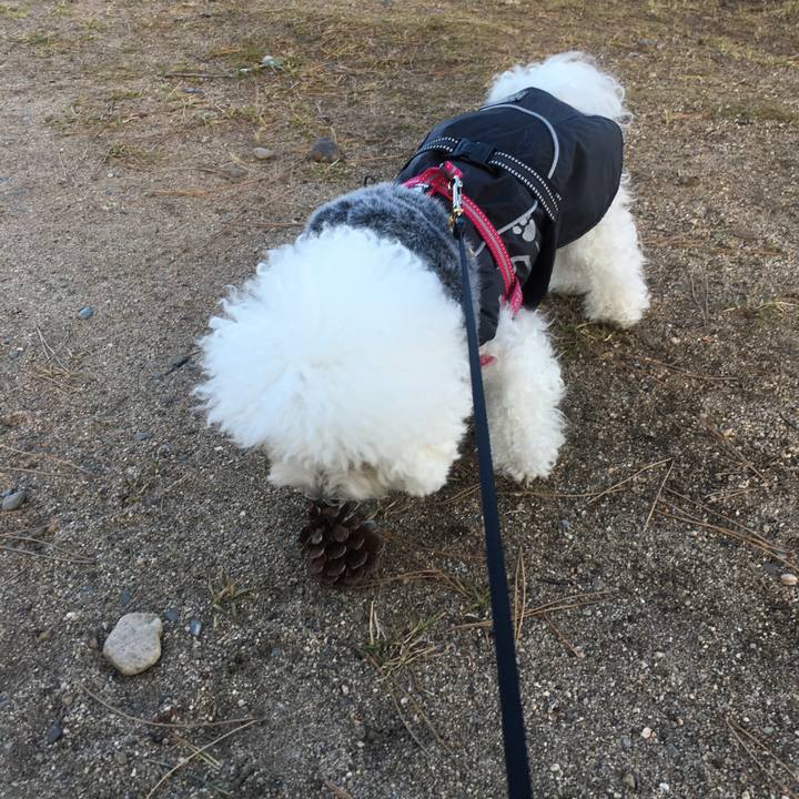 F87c9bfb ba10 475c 9682 d5f2dff5e920