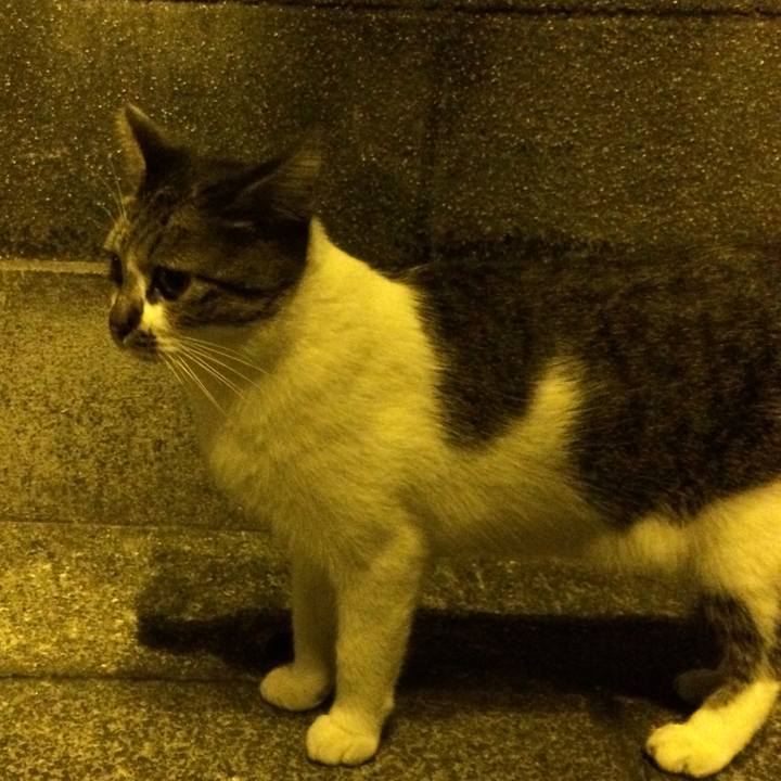 F87d0c40 d347 4d36 ad05 289bd98ee553