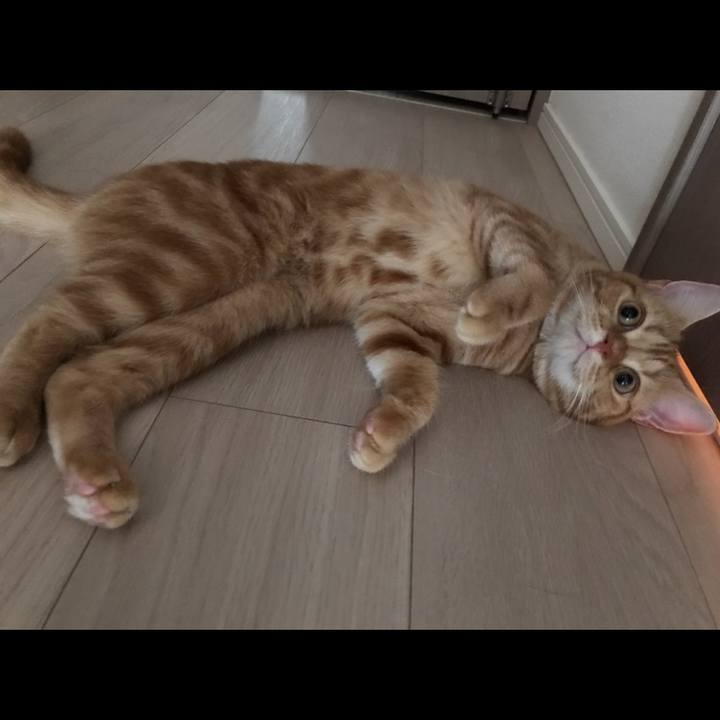 F87d4374 86fe 44dc b864 3207b471bf51