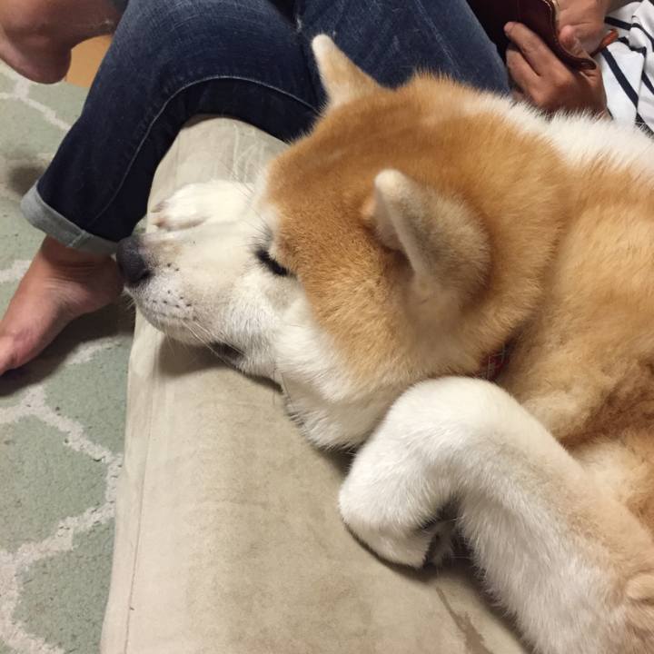 F87e8f6c 29c8 47f9 a257 47541a0f6770